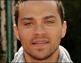 anatomytv.net_djessi_uilyams_028 (417x325, 34 kБ...)