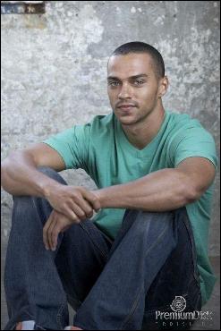 anatomytv.net_djessi_uilyams_038 (500x750, 176 kБ...)