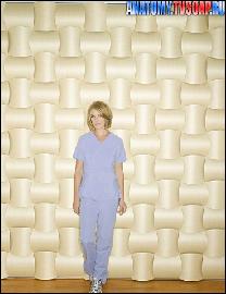 anatomy.tvsoap.ru_003 (369x480, 51 kБ...)