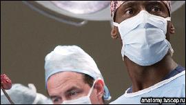 pic019 (512x288, 50 kБ...)