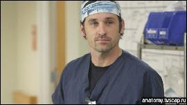 pic055 (512x288, 43 k�...)