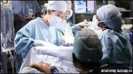 pic064 (512x288, 65 k�...)