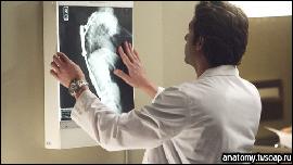 pic148 (512x288, 48 k�...)