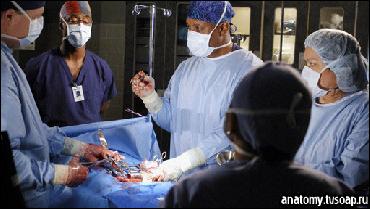 pic260 (512x288, 68 k�...)