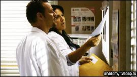 pic014 (512x288, 59 kБ...)