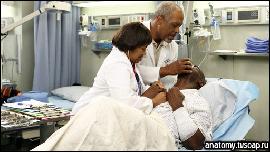 pic103 (512x288, 65 k�...)