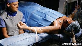 ���� (512x288, 69 k�...)